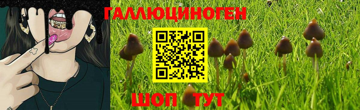 Псилоцибиновые грибы мухоморы Алейск